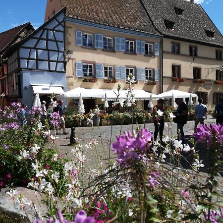 Gite Au Chateau Fleuri Eguisheim Exterior foto