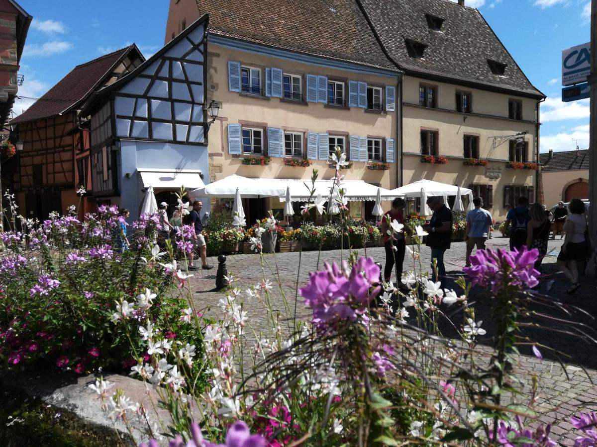 Gite Au Chateau Fleuri Eguisheim Exterior foto