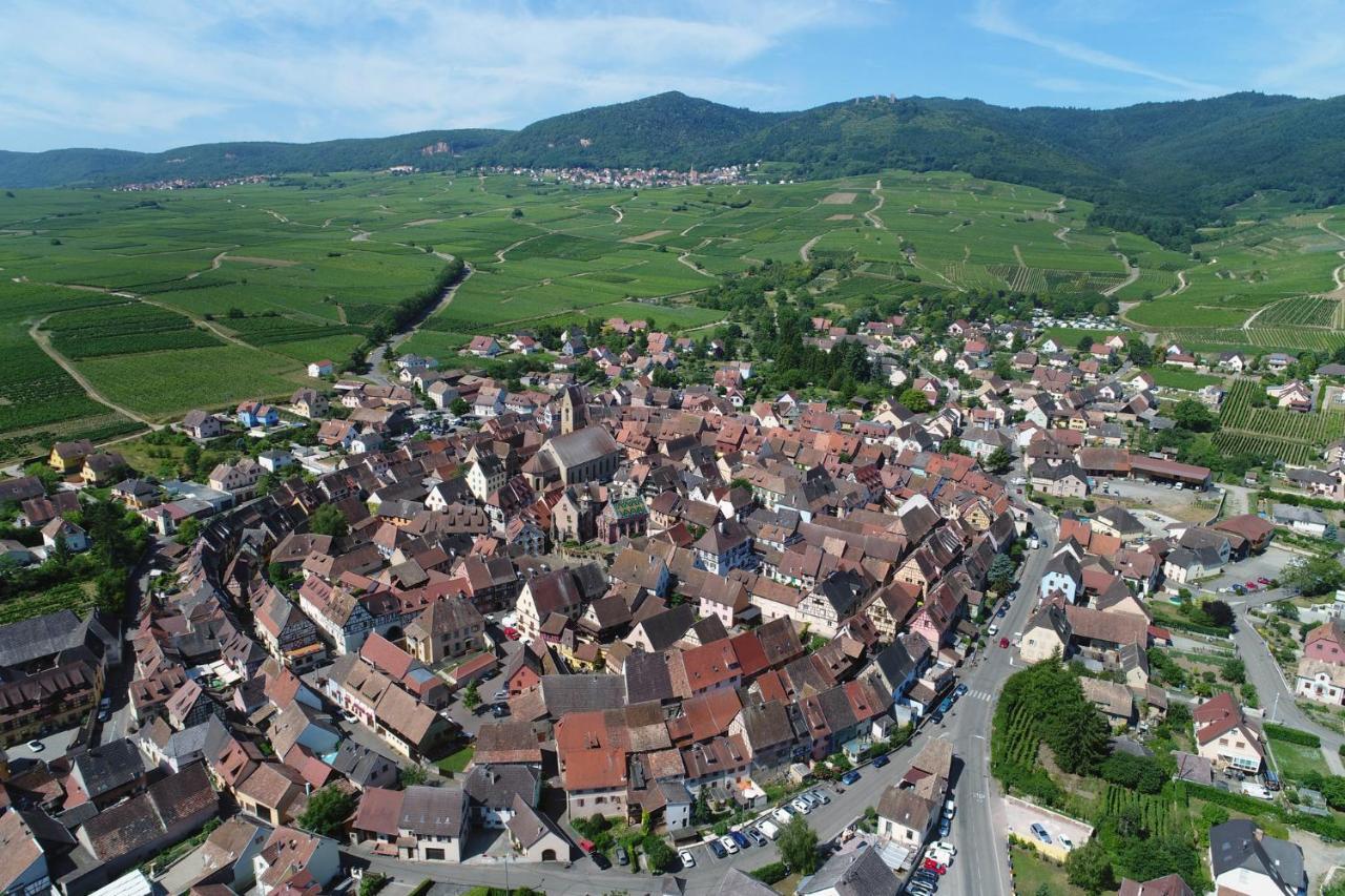 Gites Au Chateau Fleuri Eguisheim Zimmer foto